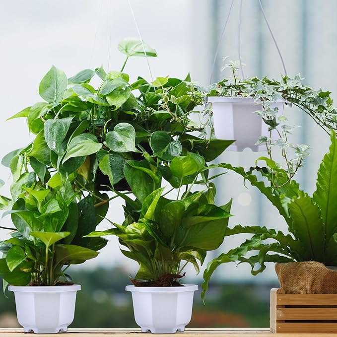 Roshtia 50 Pcs 3.7 inch Plastic Hanging Plant Pots - Image 5