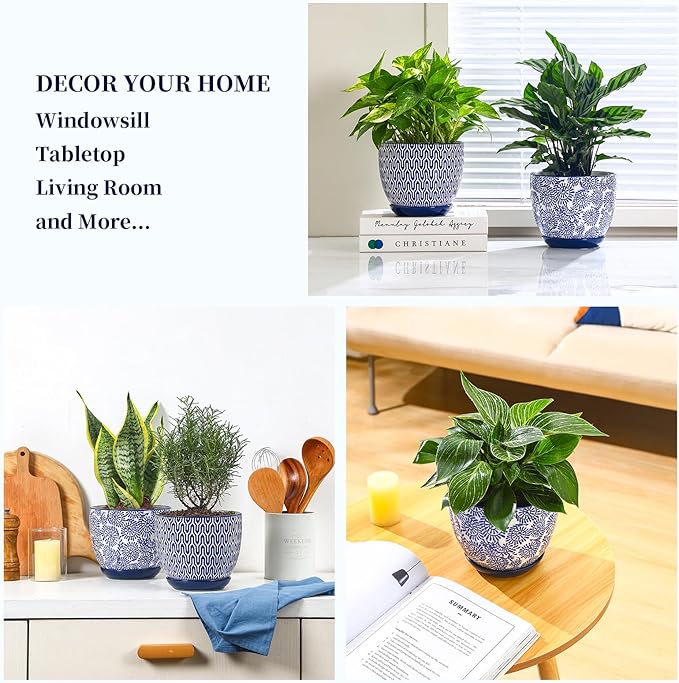 Selamica Ceramica Plant Pots, 6.5 Inch Flower Pots Set of 2 - Image 5