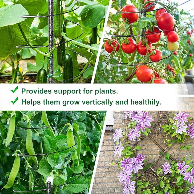 2 Pack Spiral Trellis for Climbing Plants Outdoor, 45 Inch Tall Heavy Duty - Image 4