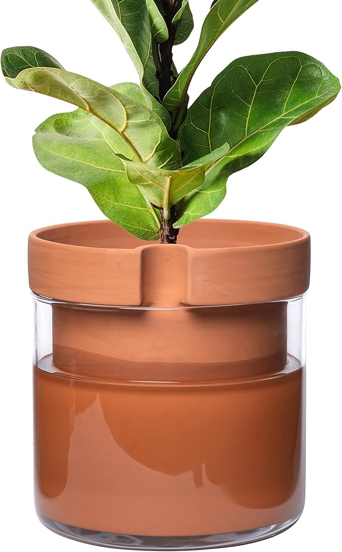 Phoenix Vine 10 Inch Self Watering Planter Pot, Terracotta Clay Pot by Phoenix+Vine