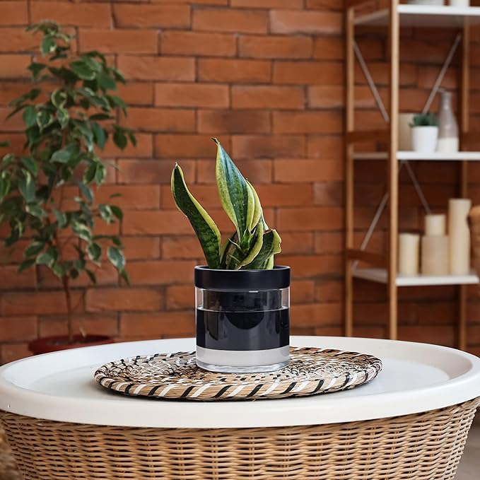 Phoenix Vine 6 Inch Self Watering Planter Pot - Image 6