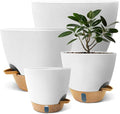 12/10/9/8 inch Self Watering Pots by SORANGEUN