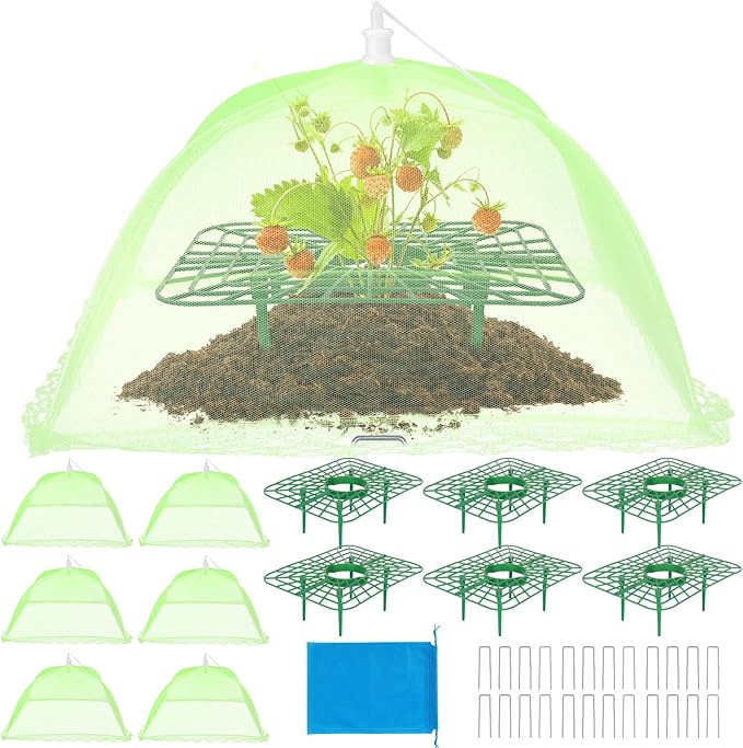 6 Sets Strawberry Plant Support by NODMIPNS