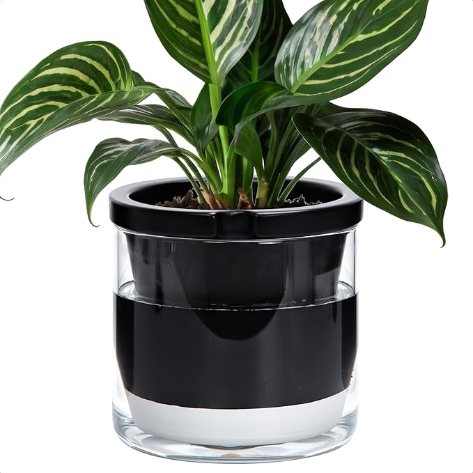 D'vine Dev 8 Inch Design Self Watering Planter by DvineDevPlanterPotsandStand