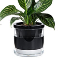 D'vine Dev 8 Inch Design Self Watering Planter by DvineDevPlanterPotsandStand