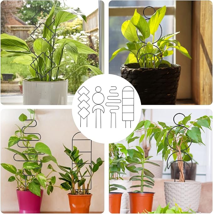 4 Pcs Mini Metal Trellis for Potted Plants, Climbing Support for Hoya Vines - Image 7