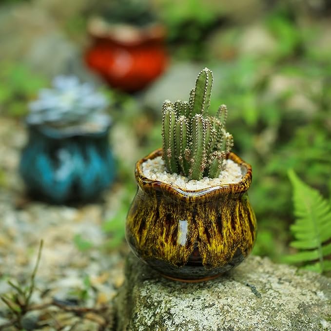 Cute Ceramic Succulent Planters, Garden Pots - Image 4