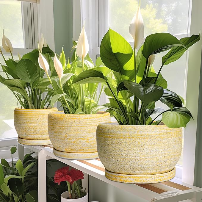 SQOWL Ceramic Planters for Indoor Plants - Image 6