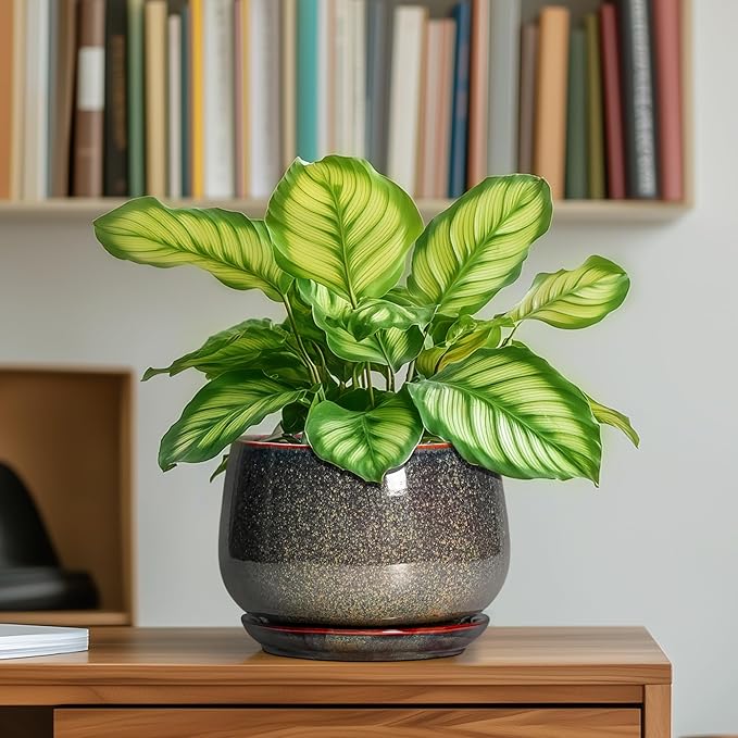 G EPGardening 6 Inch Plant Pot - Image 6
