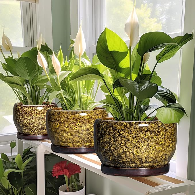 SQOWL 6 Inch Plant Pot - Image 5