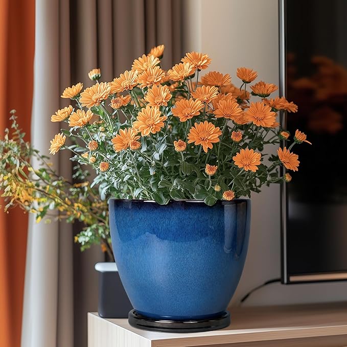 8 Inch Planter - Ceramic Plant Pot - Image 2