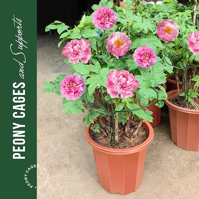 LEOBRO Plant Support Stakes, Plant Support, Peony Cages and Supports, Garden - Image 4