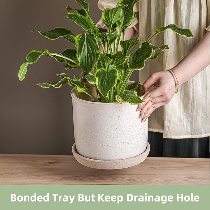 8 Inch Plant Pot: Ceramic Planter - Image 3