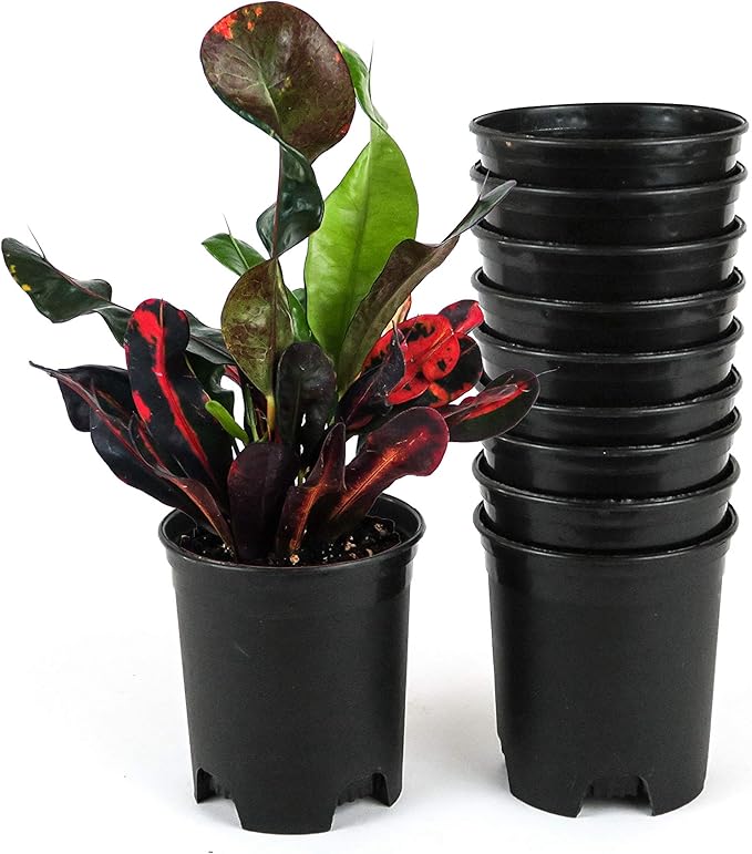 Wholesale Bulk Nursery Pot 4 Inch Black Plastic Planters 30-Pack 0.25 Gallon by CottaPlanters