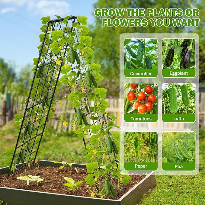 Heavy Duty 2 Pack 50"x17" Adjustable A-Frame Trellis - Image 7