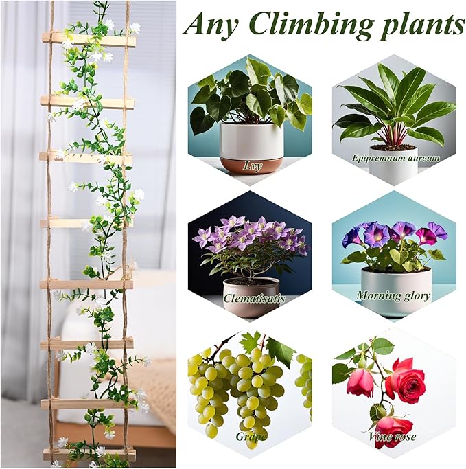 Sturdy Climbing Plants Trellis - Image 7