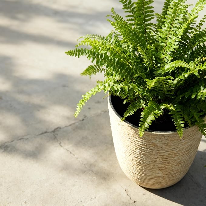 Worth 9 Gallon Tall Round Planters Set of 2-14" Dia x 21" H Stone Finish Flower - Image 4