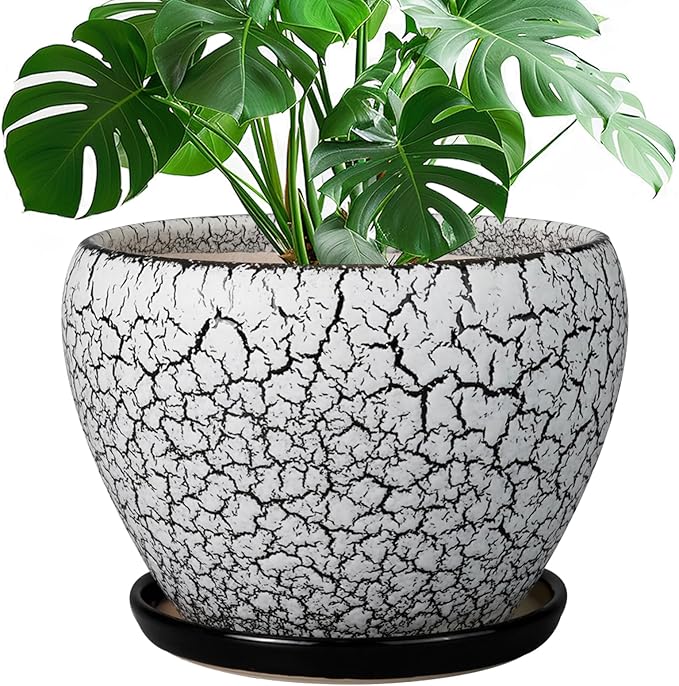 Ceramic Planters for Indoor Plants by Ceramicfor