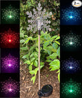 Solar Powered Garden Stake LED Light by RELIGHTABLE