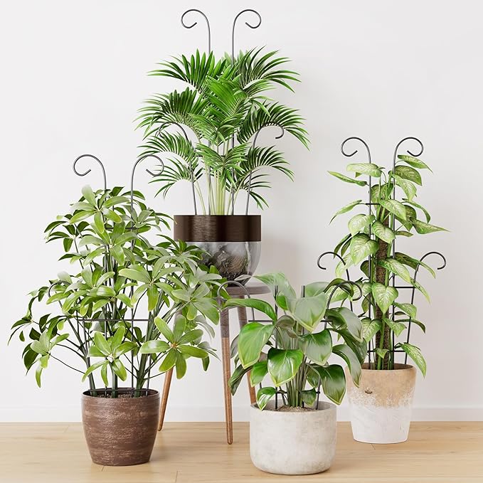 Larger 23.6in Taller Plant Trellis - Image 2
