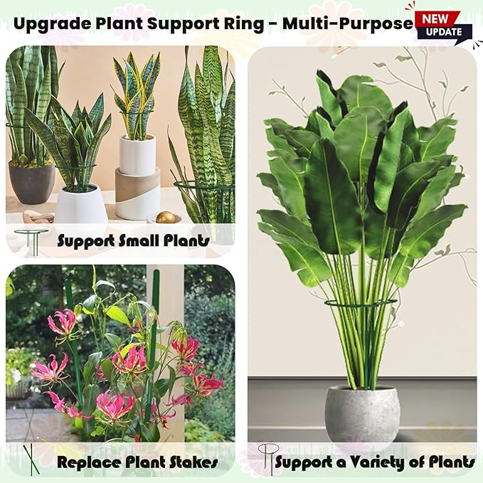 10-Pack Adjustable Height Snake Plant Support Stakes- Sturdy, Rust-Resistant - Image 7