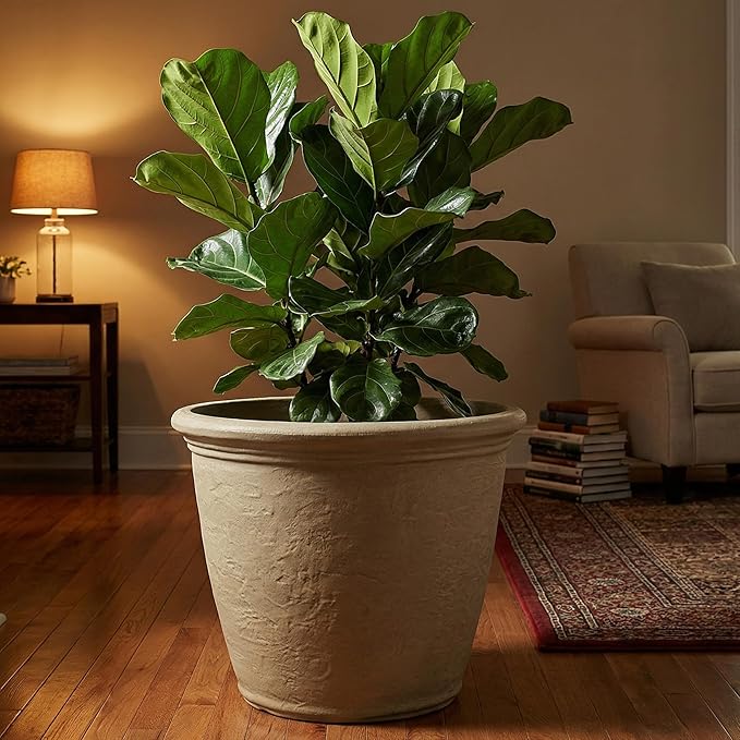 Sunnydaze 20-Inch Anjelica Large Plastic Pot - Image 7