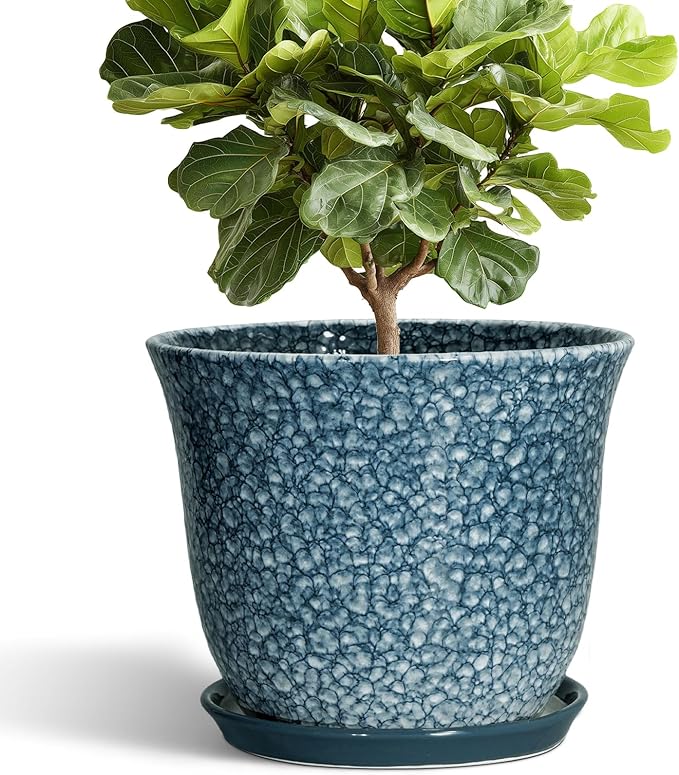 Ceramic Plant Pots by SUNPOTFOR