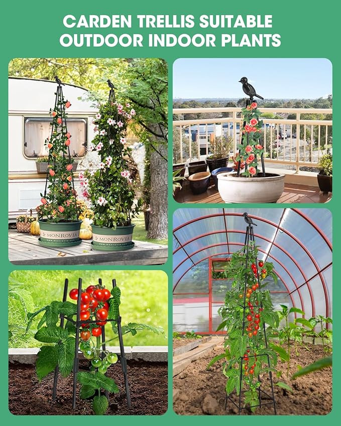 2Pack Garden Trellis for Climbing Plants Outdoor Indoor Pot 67'' Cucumber - Image 7