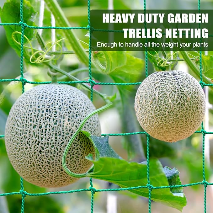 Trellis Netting, Heavy Duty Garden Trellis Netting - Image 5
