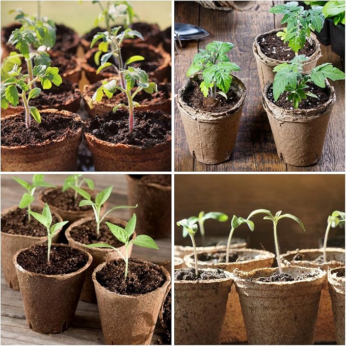 homenote Peat Pots - Image 3