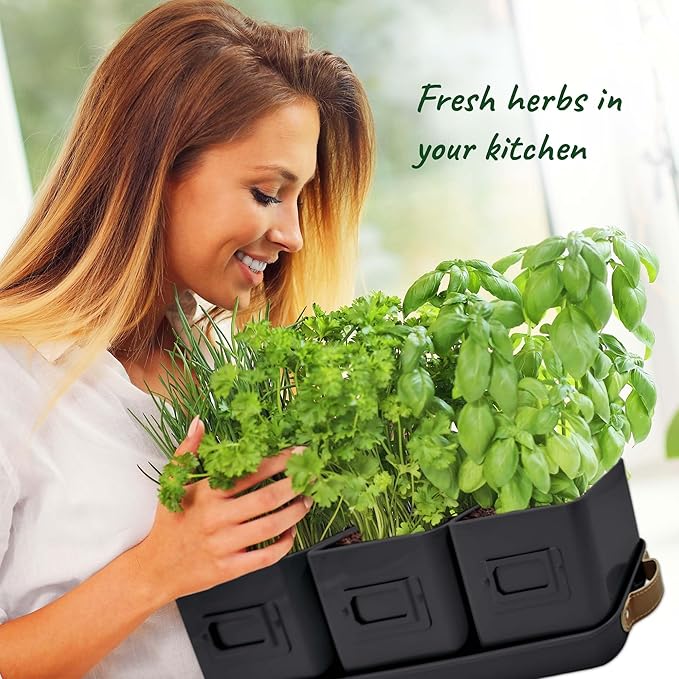 volila Herb Planter Indoor - Image 4