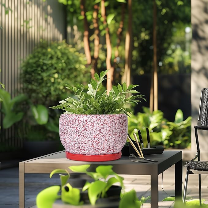 SQOWL Ceramic Planters for Indoor Plants - Image 5