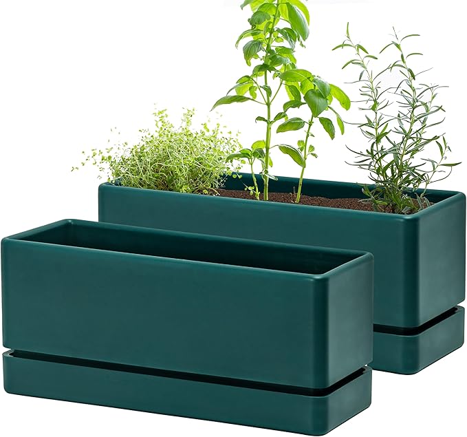 D'vine Dev 12 Inch Window Box Planter, Rectangle Plastic Herb Planter by DvineDevPlanterPotsandStand