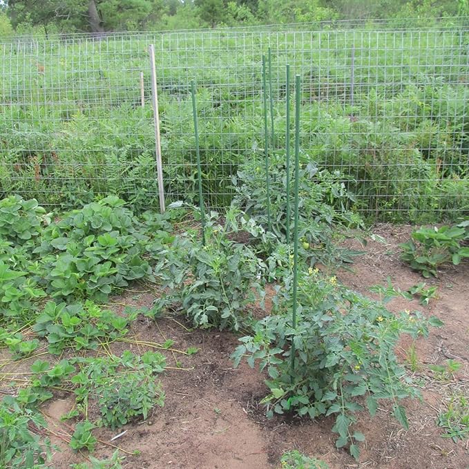 Garden Plant Stakes 57 Inch Steel Plant Stick Support, 25 Pack Tomato Stakes - Image 5