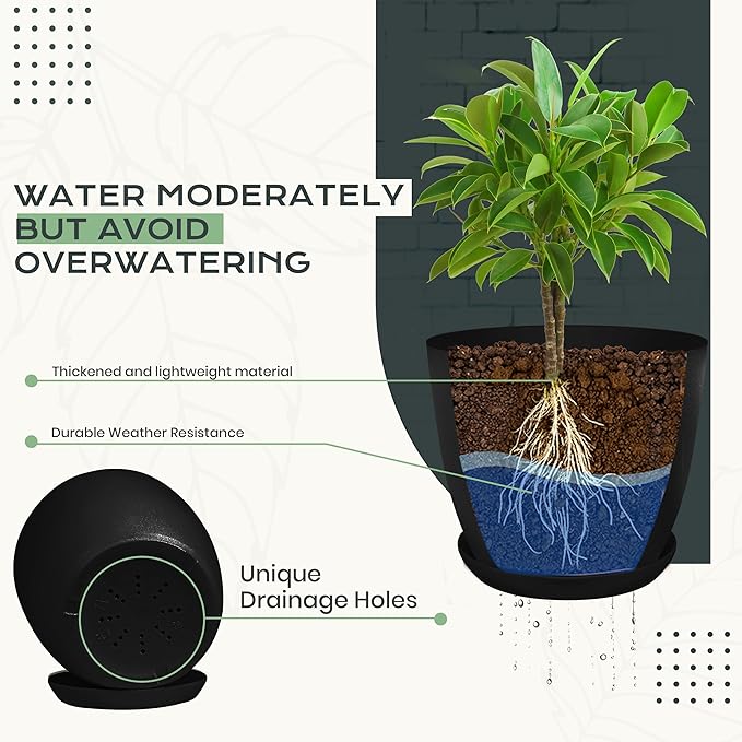 Utopia Home - Plant Pots Indoor - 7/6.6/6/5.3/4.8 Inches Home Decor Flower Pots - Image 3