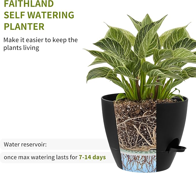 FaithLand 3-Pack Planter Pots, 10 9 8 Inch Self Watering Flower Pots - Image 4
