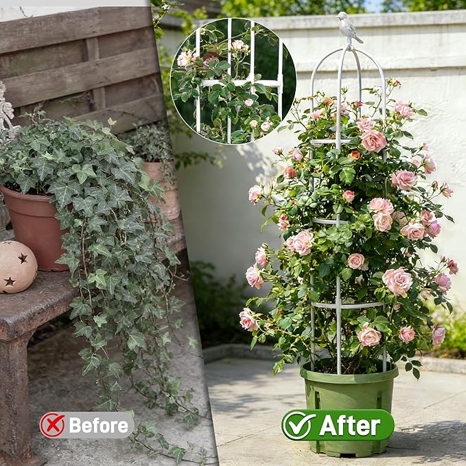 6ft Garden Obelisk Trellis for Climbing Plants-Rustproof Metal Pipe - Image 4