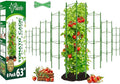 Riare 8 Pack 5.2 FT Tomato Cages by Riare
