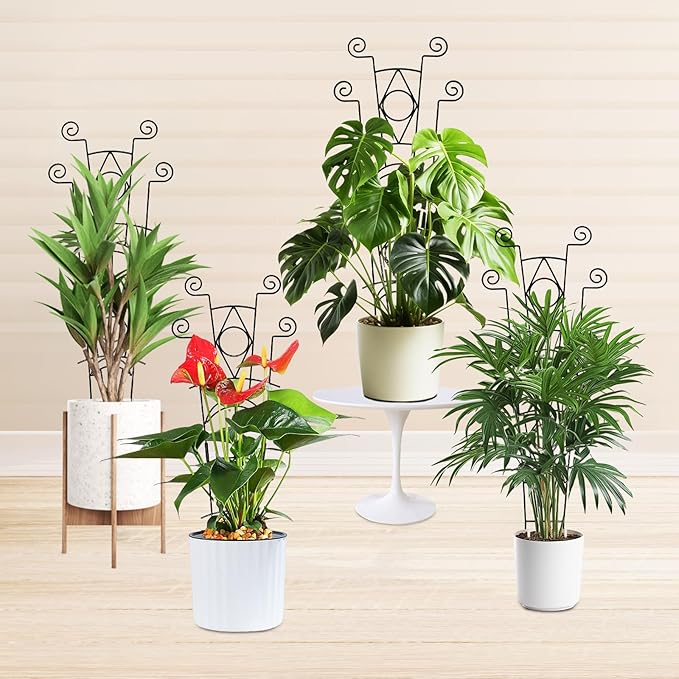 Stackable Metal Trellis for Climbing Plants Outdoor & Indoor - Image 7