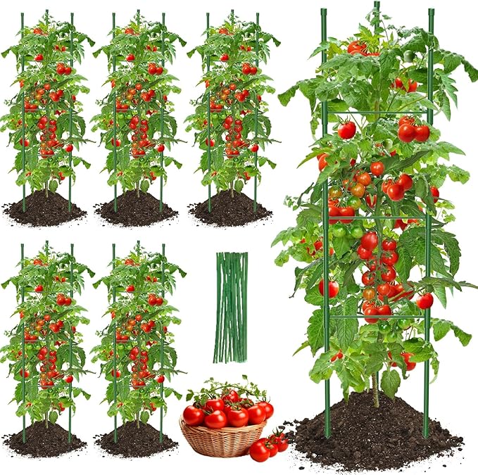 Tomato Cage for Garden, 6 Pack Tomato Trellis for Raised Garden Bed Height by GrowYourGreenParadise