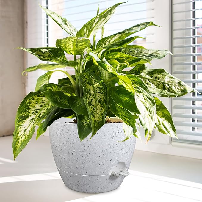 12/10/9 inch Large Self Watering Pots, Plant Pots - Image 6