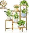 6 Tiered Plant Stand Indoor for Multiple Large Planter, Tall Heavy Duty by Unknown