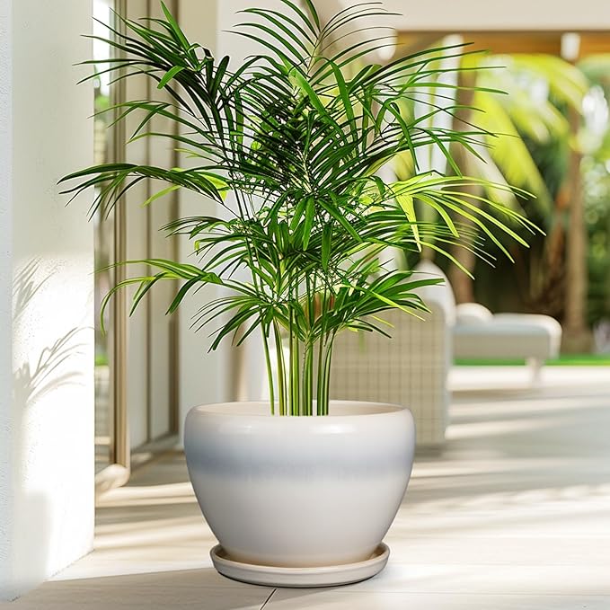 10 Inch Ceramic Planter Pot - Image 6