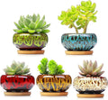 Cute Ceramic Succulent Garden Pots, Planter by LamDawn