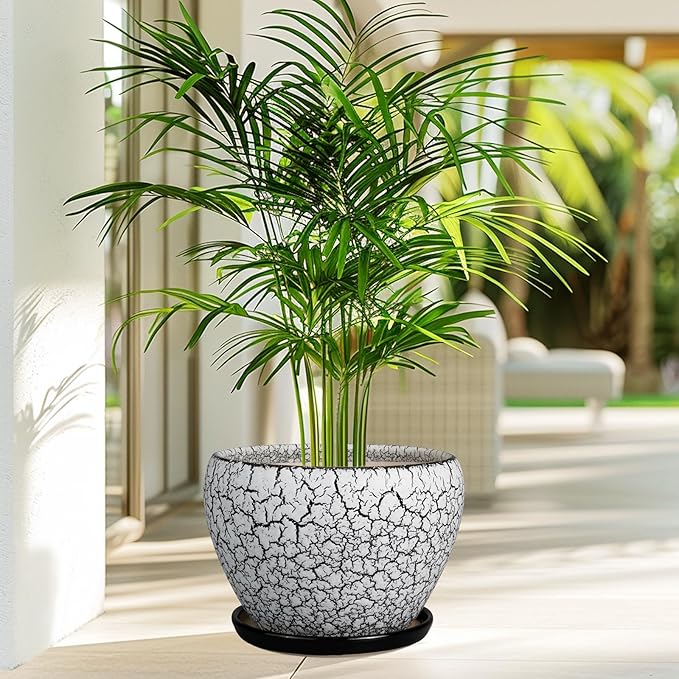 Ceramic Planters for Indoor Plants - Image 5