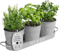 Barnyard Designs Indoor Herb Garden Planter Set by BarnyardDesigns