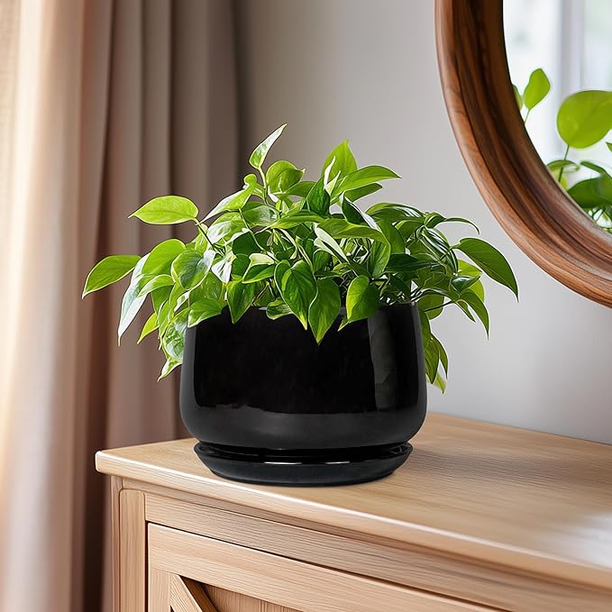 G EPGardening 6 Inch Planter - Image 7