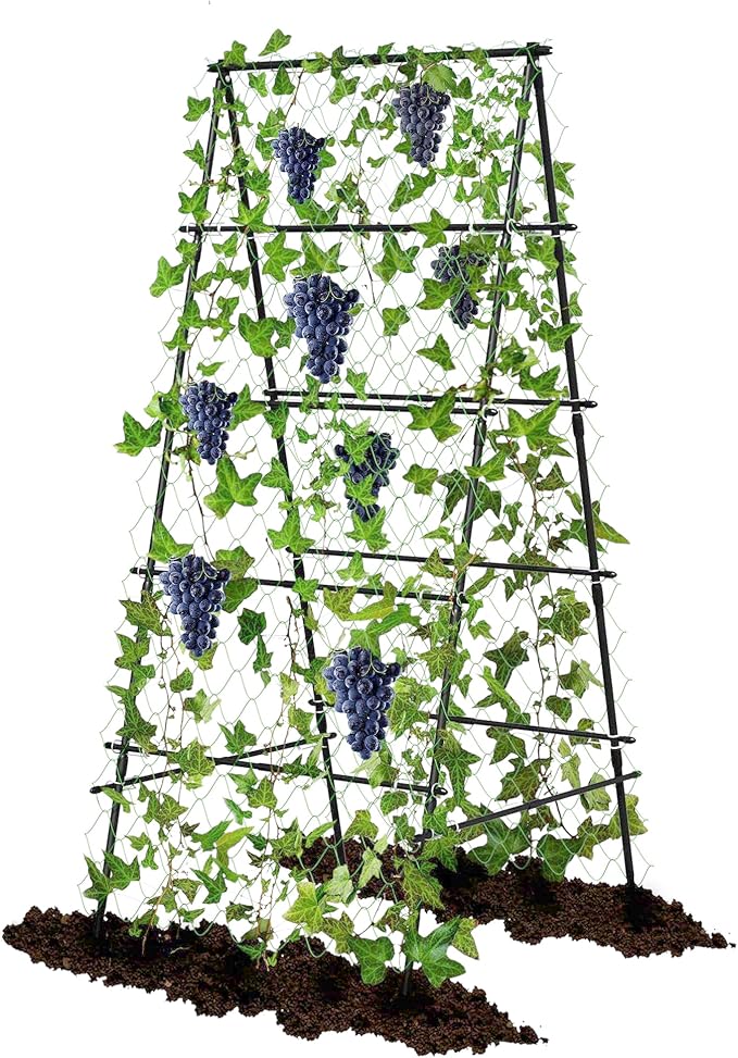 Garden Trellis for Climbing Plants, A-Shape Garden Plant Support Frame for by AlisisFores