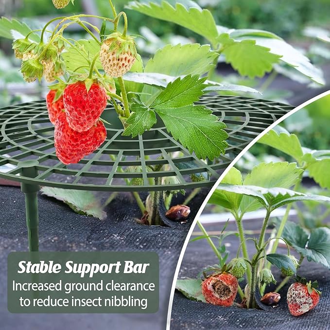 6 Sets Strawberry Plant Support - Image 7
