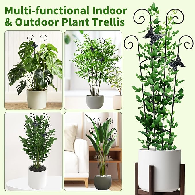 4 Pack 30 InchTaller Plant Trellis - Image 7